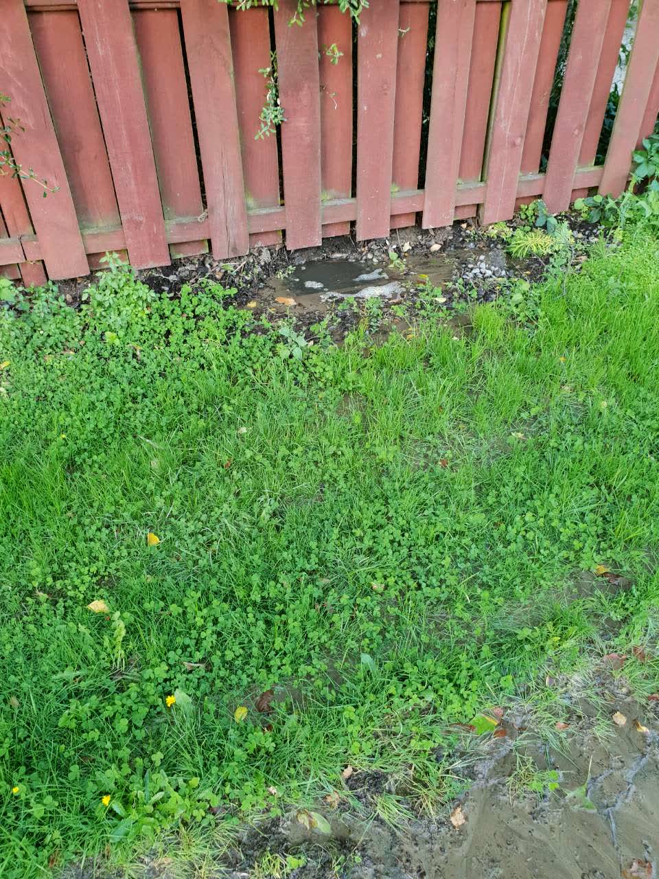 The photograph attached to this water supply report