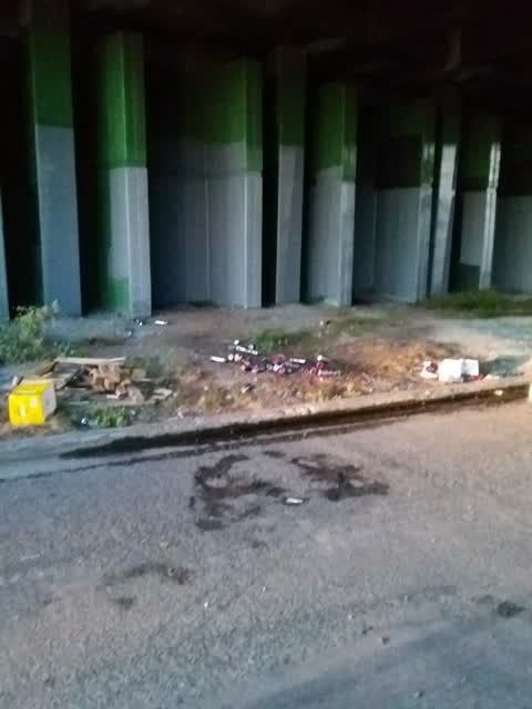 Rubbish/Recycling, a report photo