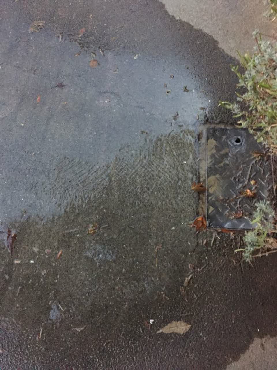 The photograph attached to this water supply report