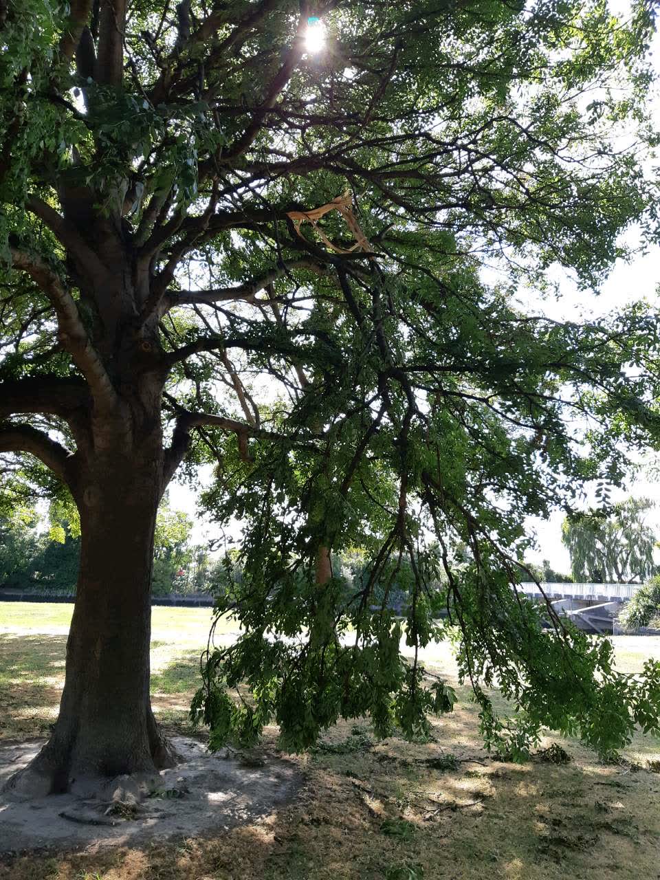 The photograph attached to this parks report
