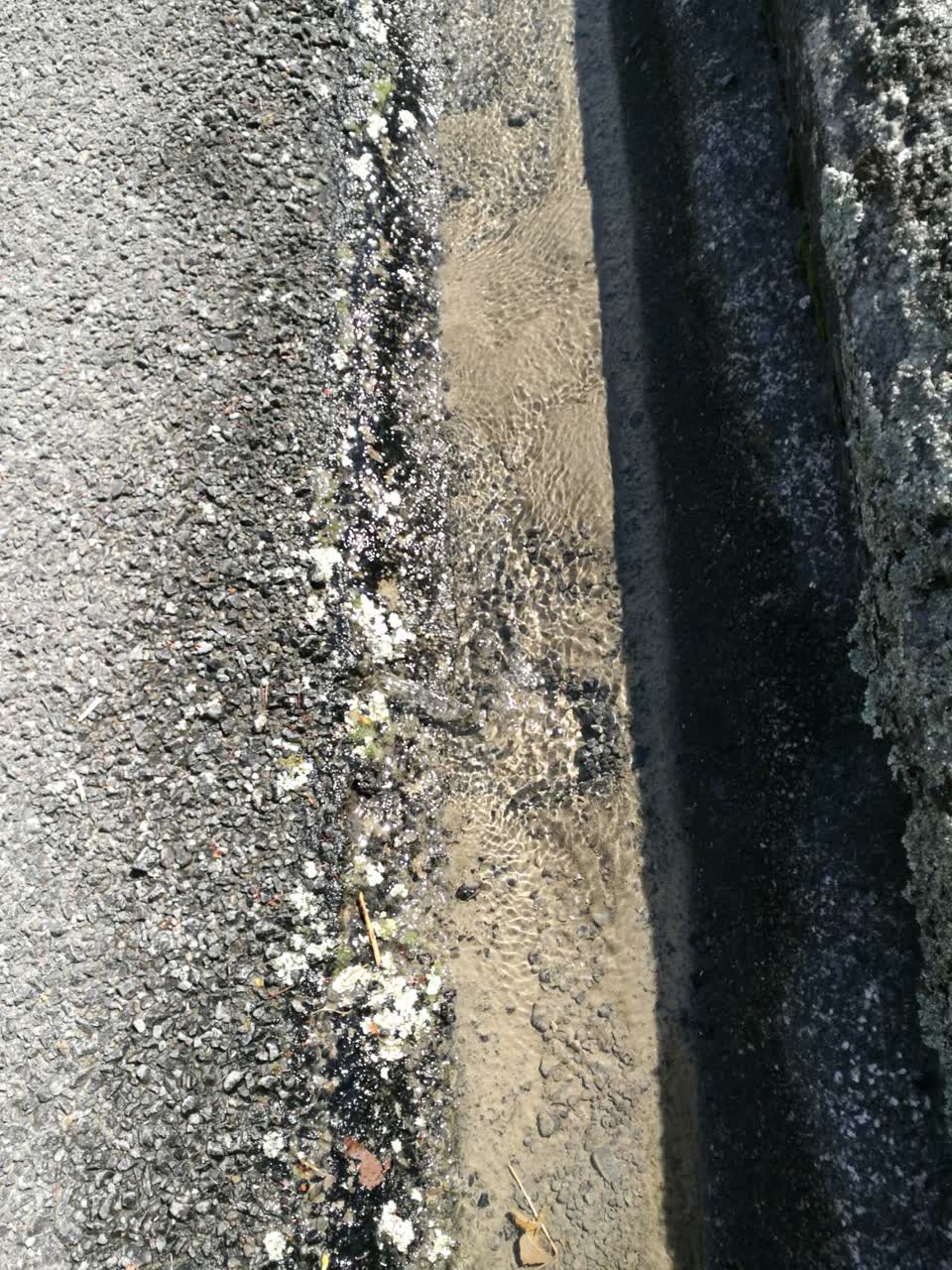 The photograph attached to this water supply report