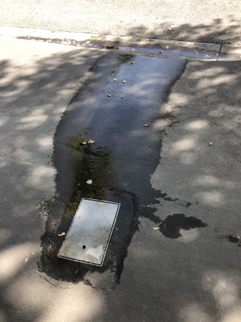 The photograph attached to this water supply report