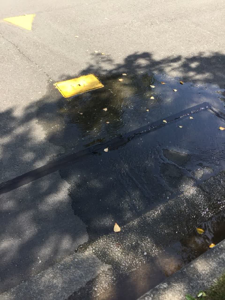 The photograph attached to this flooding report