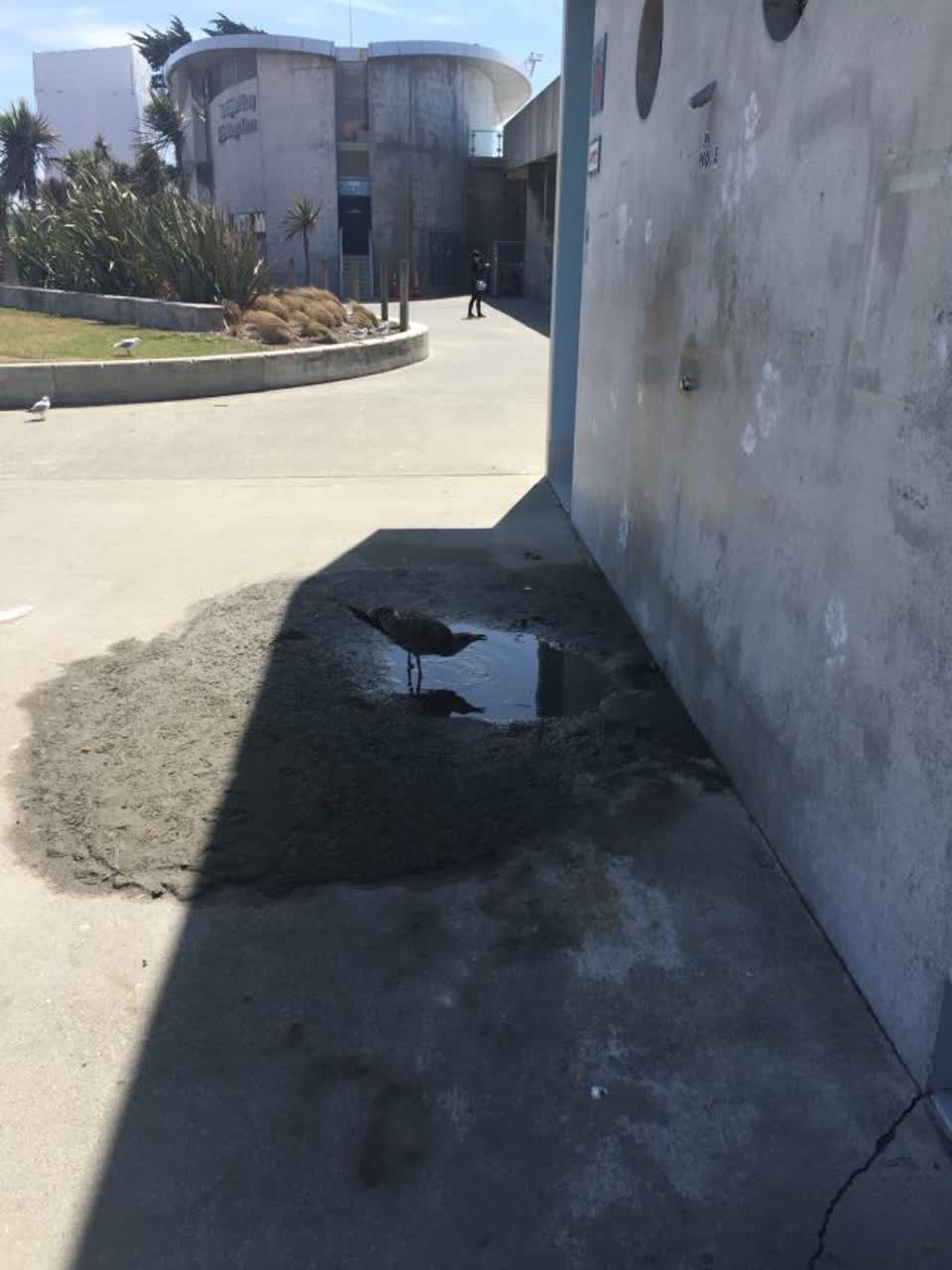 The photograph attached to this wastewater/stormwater report