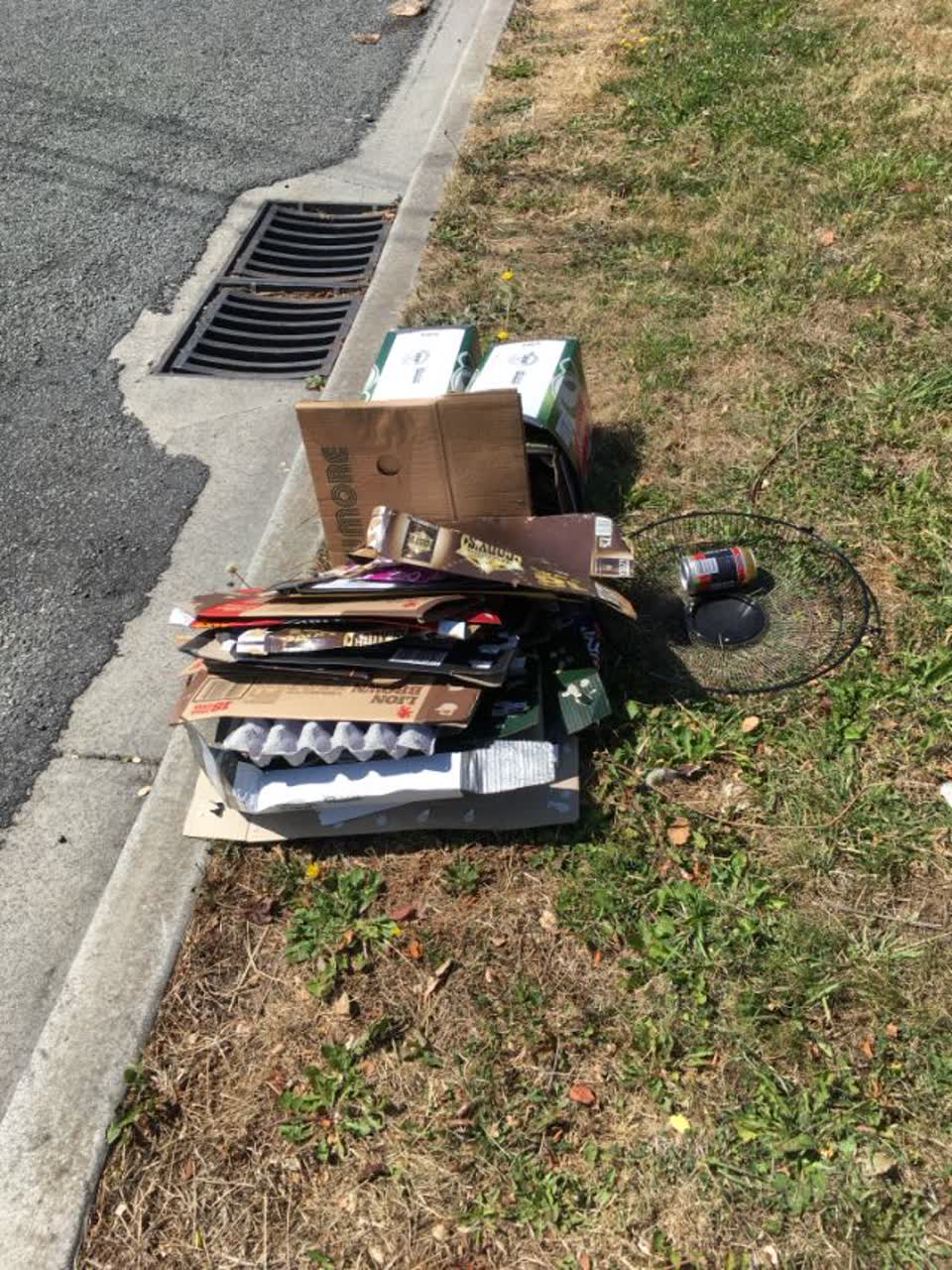 The photograph attached to this rubbish/recycling report
