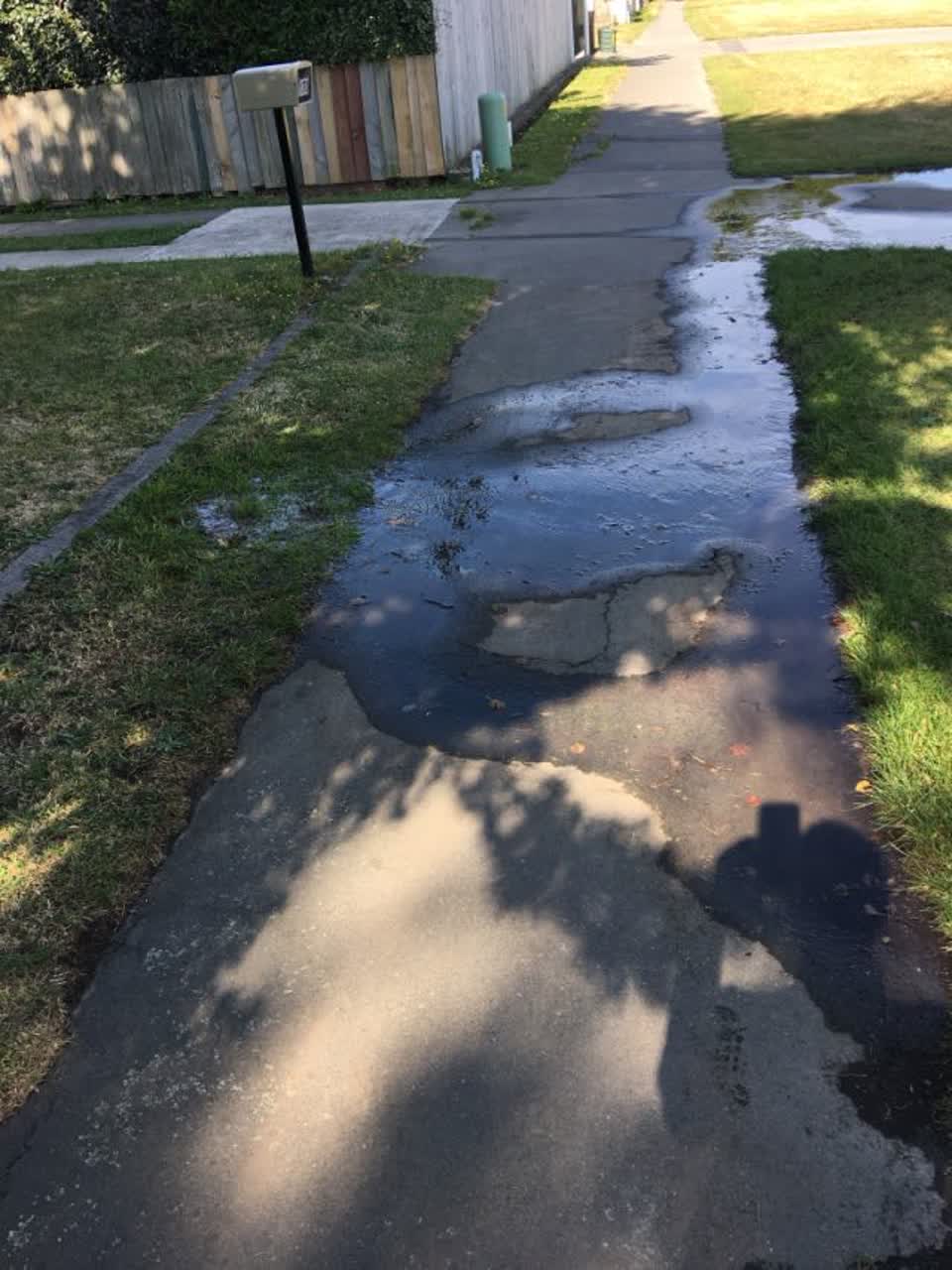 The photograph attached to this water supply report