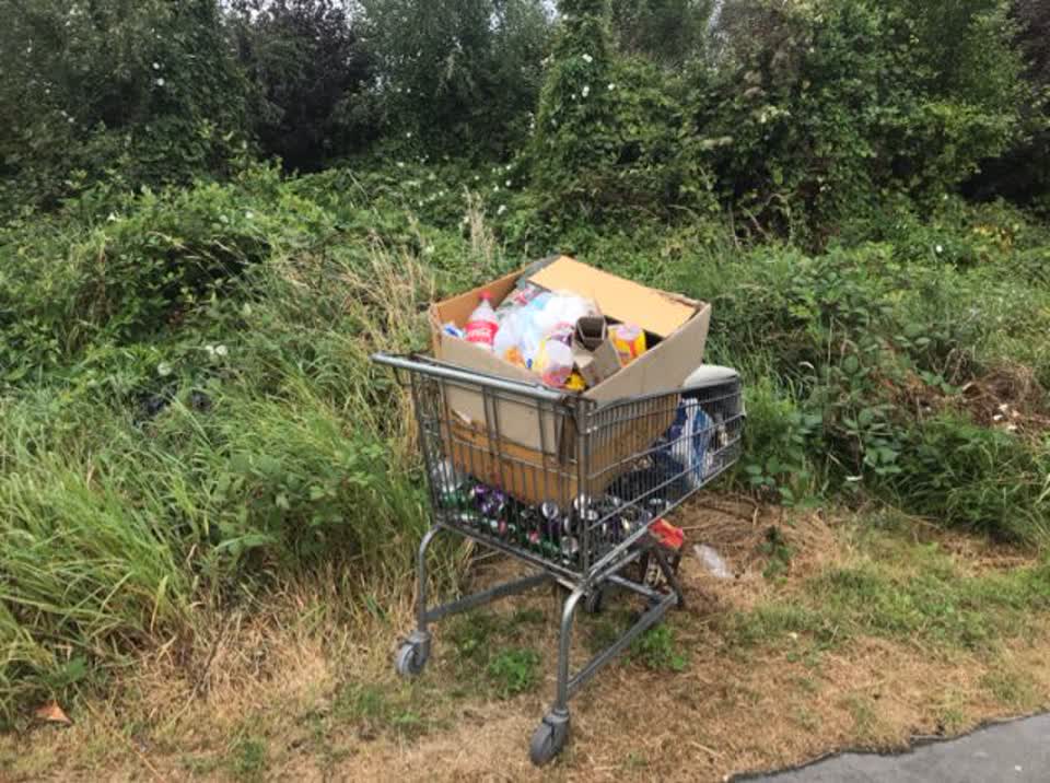 The photograph attached to this rubbish/recycling report