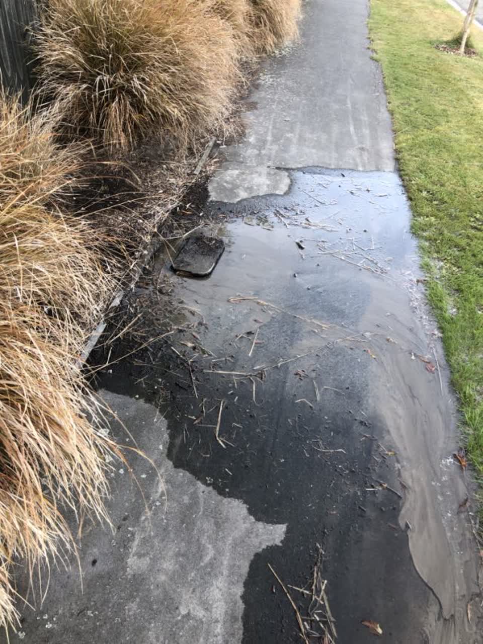 The photograph attached to this water supply report
