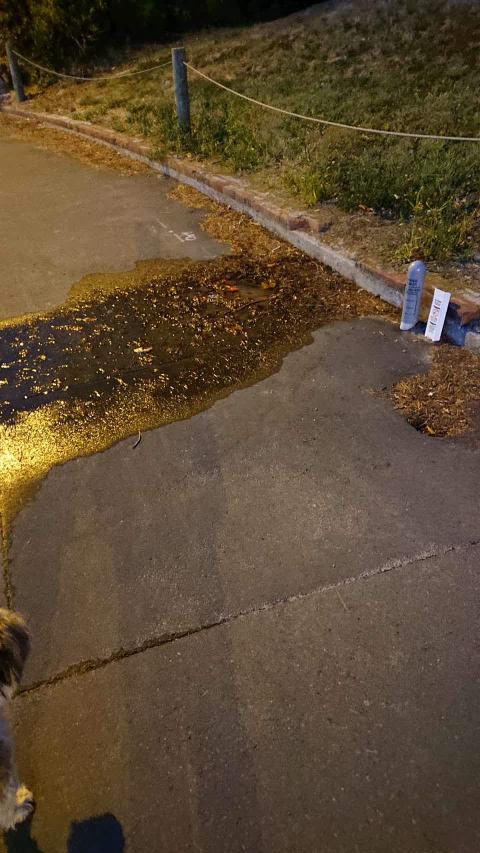 The photograph attached to this water supply report