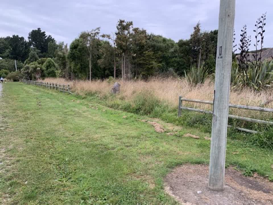 The photograph attached to this parks report