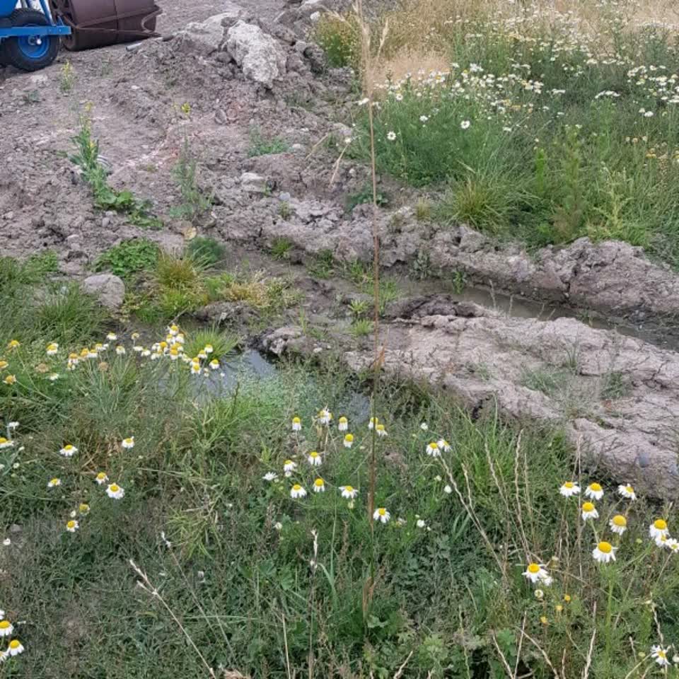 The photograph attached to this water supply report