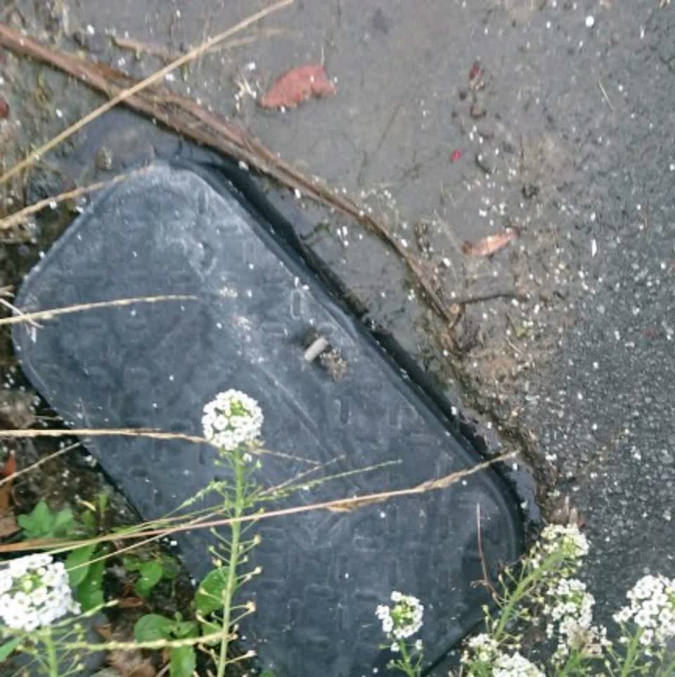 The photograph attached to this water supply report