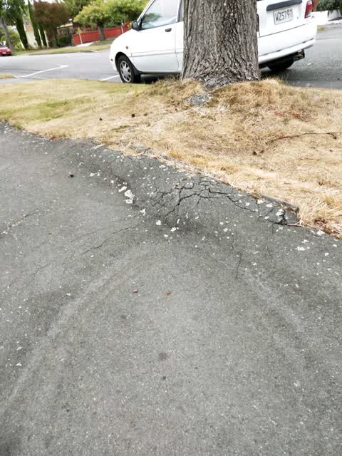 Roading/Streets, a report photo