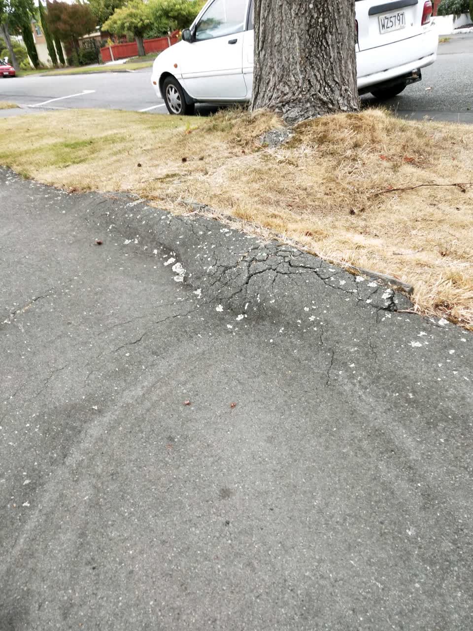 The photograph attached to this roading/streets report