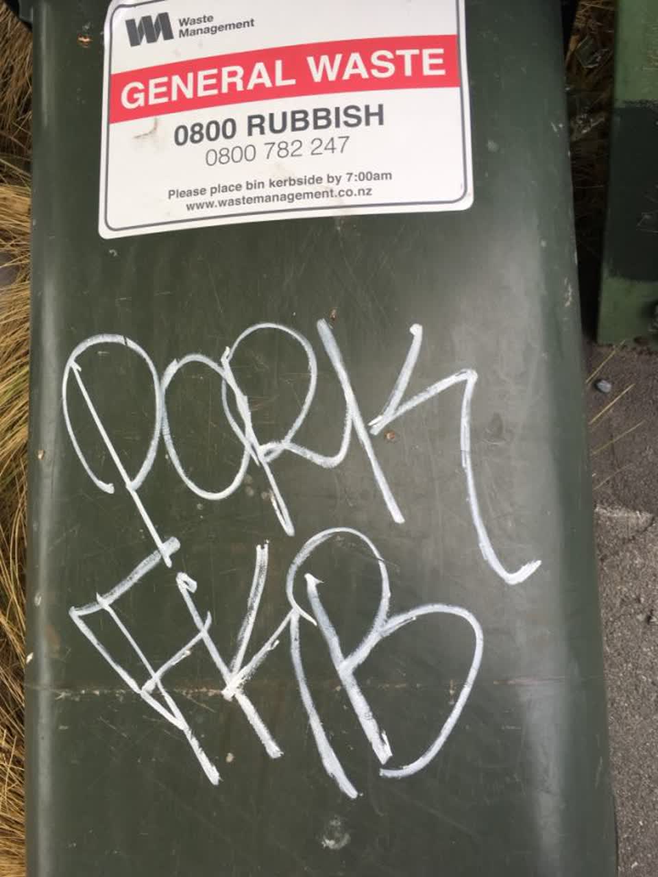 The photograph attached to this rubbish/recycling report