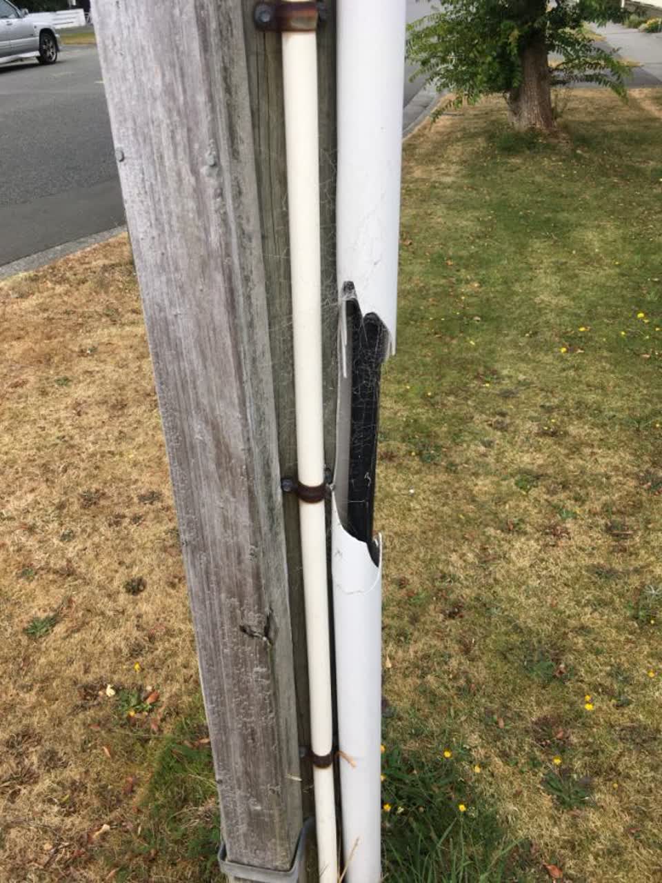 The photograph attached to this graffiti report