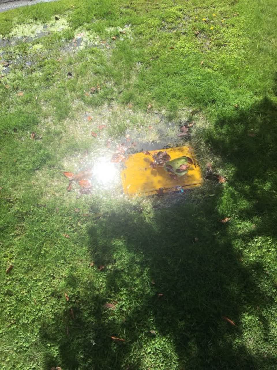 The photograph attached to this water supply report