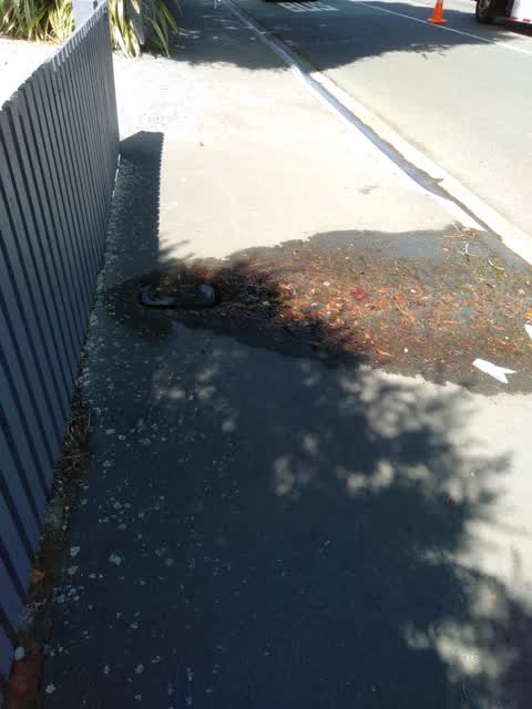 Wastewater/Stormwater, a report photo