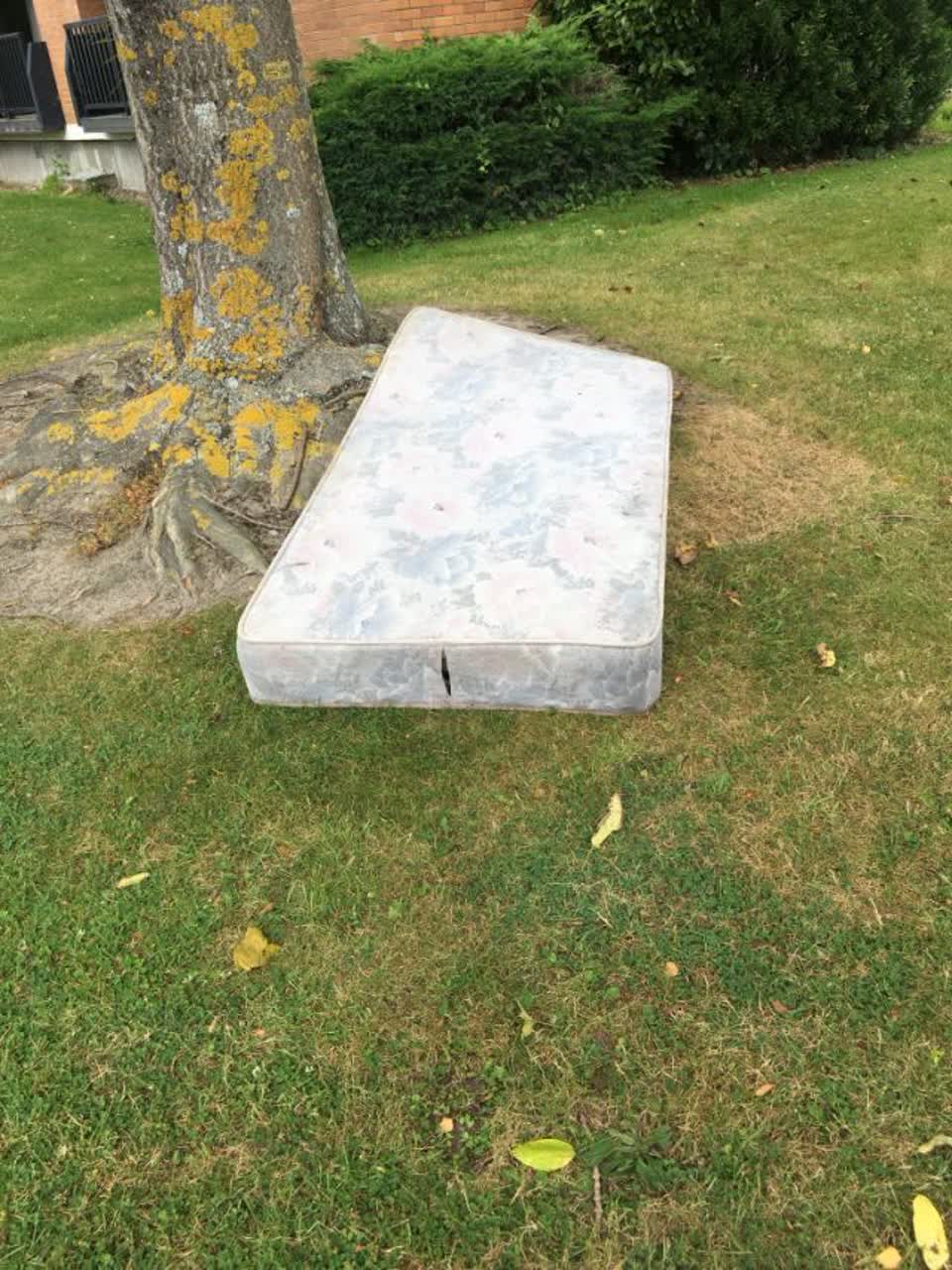 The photograph attached to this rubbish/recycling report