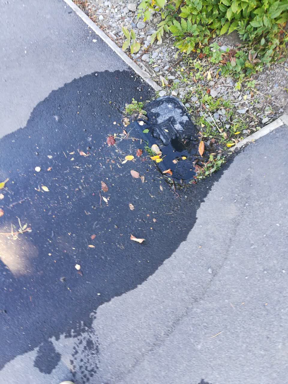 The photograph attached to this water supply report