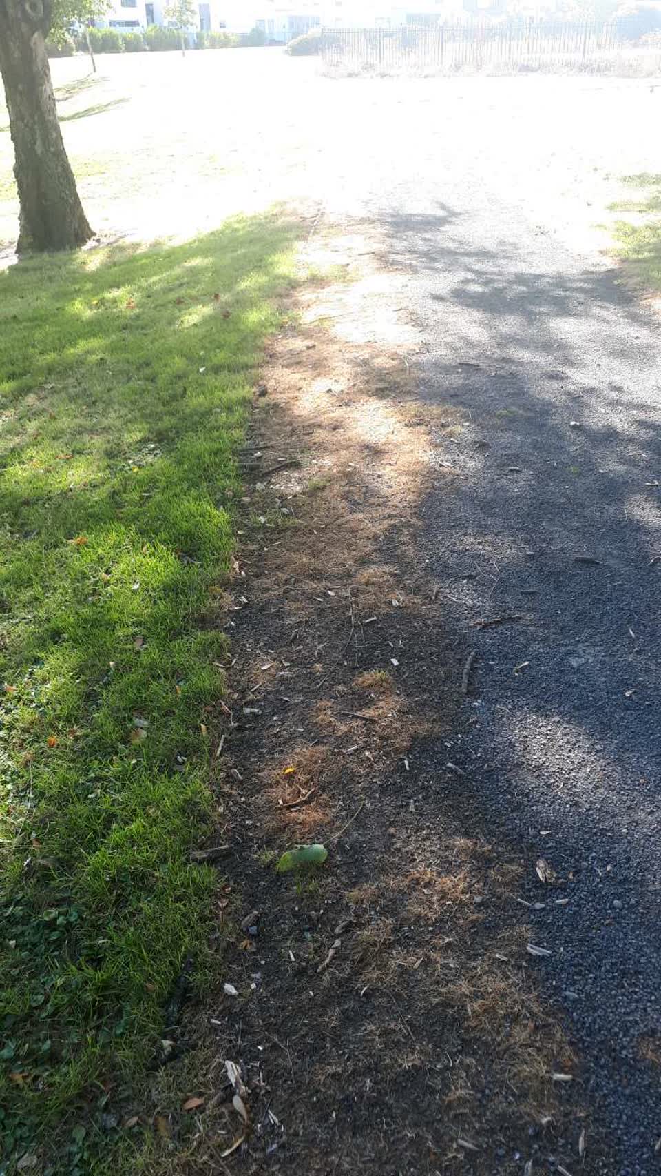 The photograph attached to this parks report