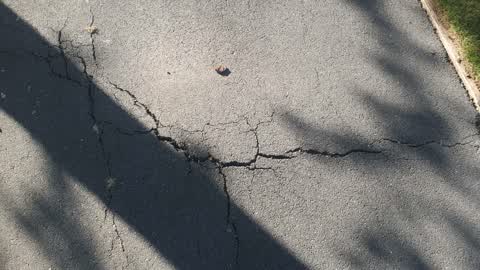 Roading/Streets, a report photo