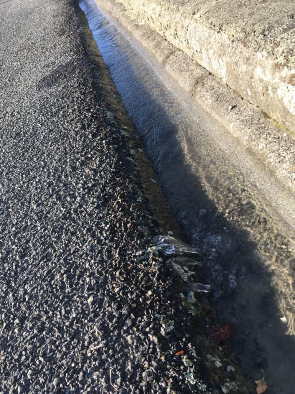 The photograph attached to this water supply report