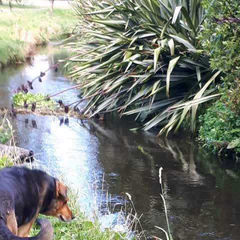 Wastewater/Stormwater — a report photo