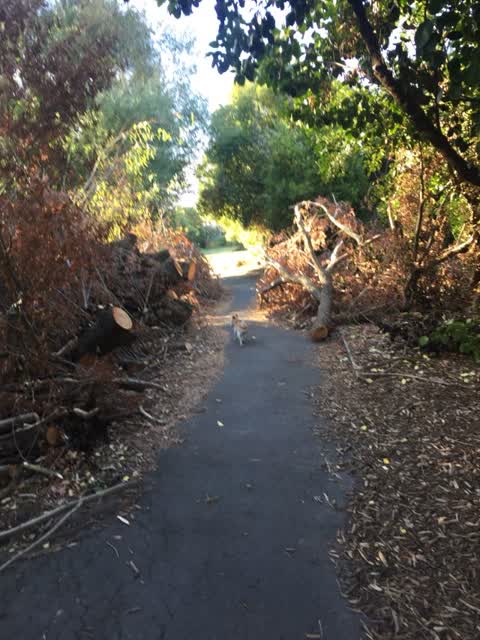 Parks, a report photo