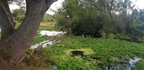 Parks, a report photo