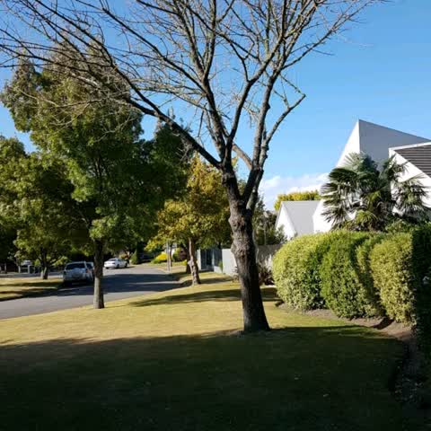 Parks, a report photo