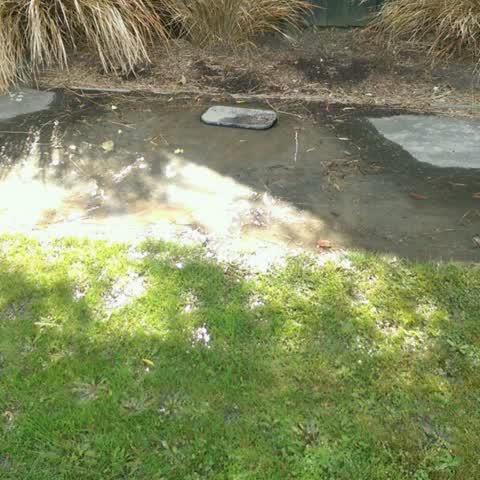 Water Supply — a report photo