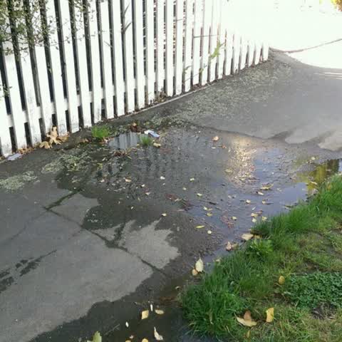 Water Supply, a report photo