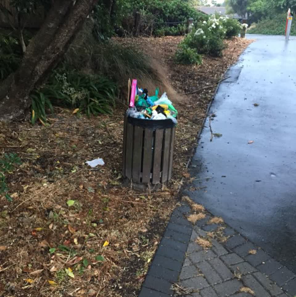 The photograph attached to this rubbish/recycling report