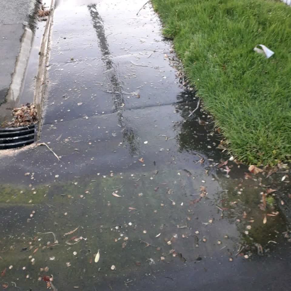 The photograph attached to this water supply report