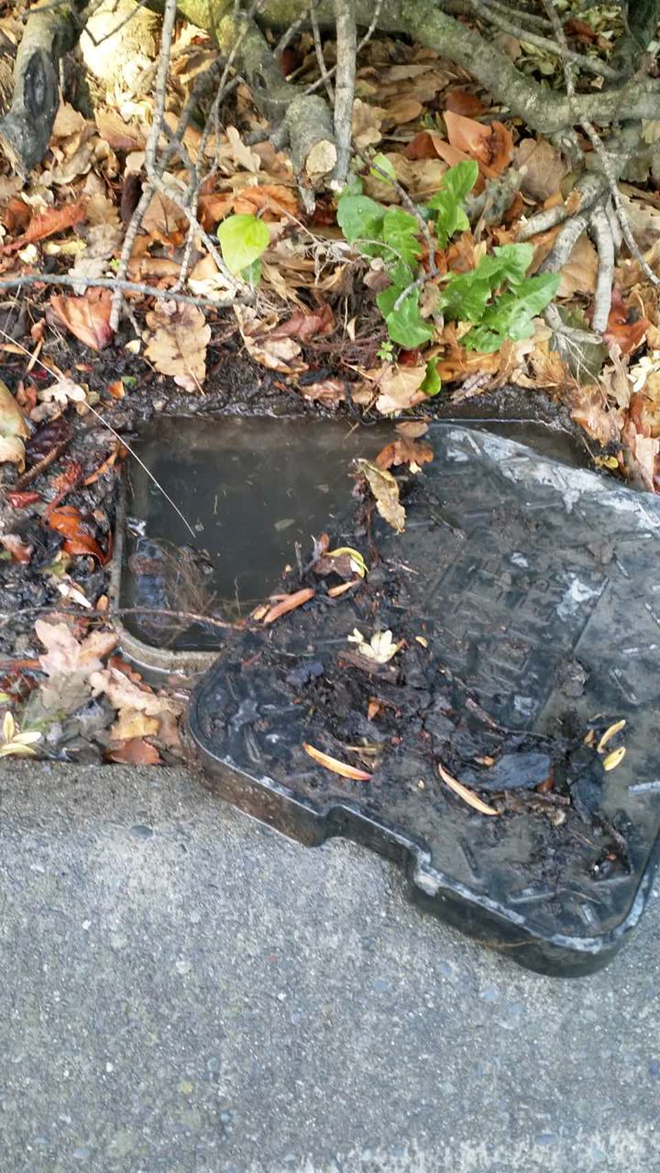 The photograph attached to this water supply report