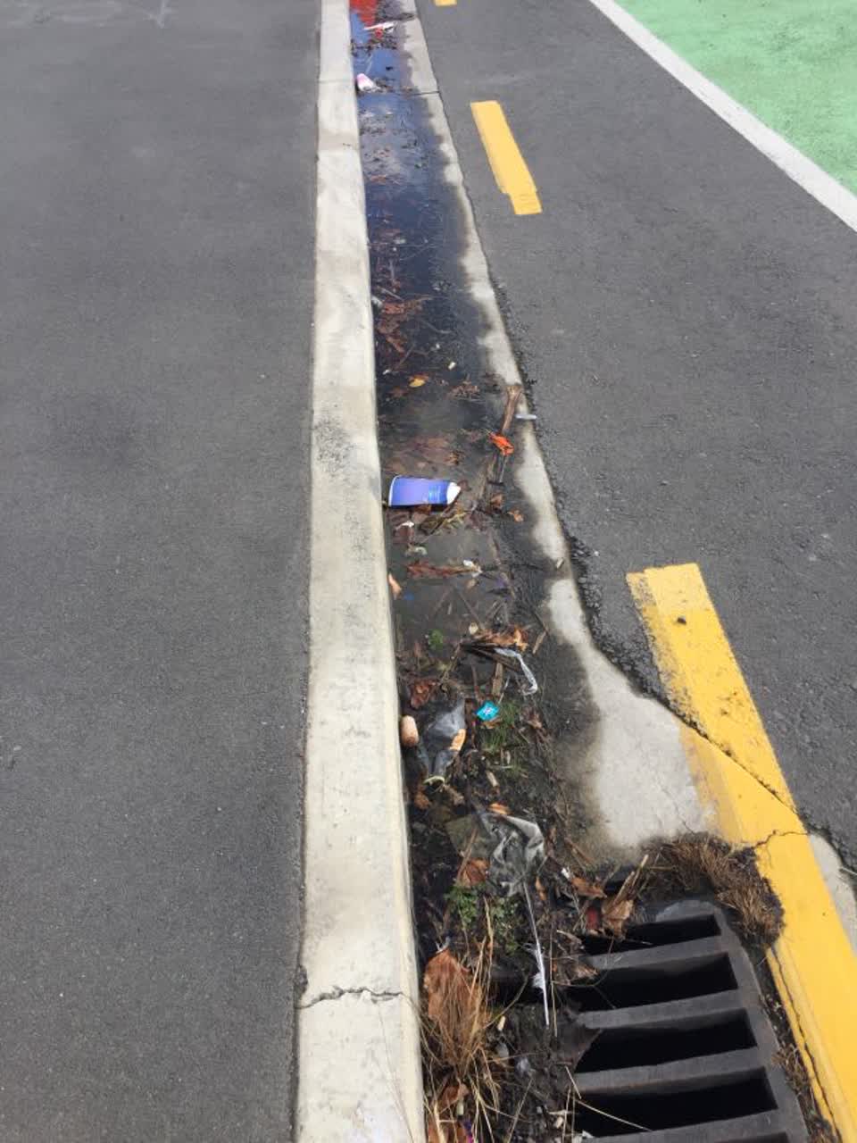 The photograph attached to this roading/streets report