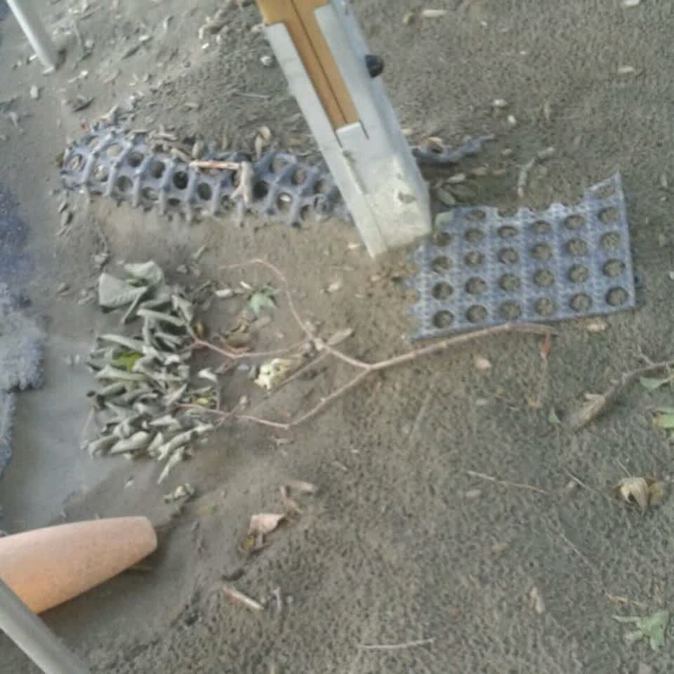 The photograph attached to this parks report