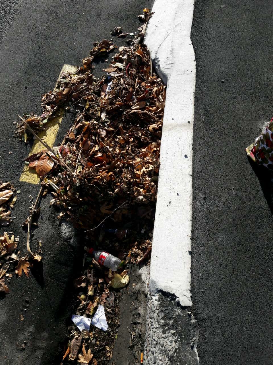 The photograph attached to this wastewater/stormwater report