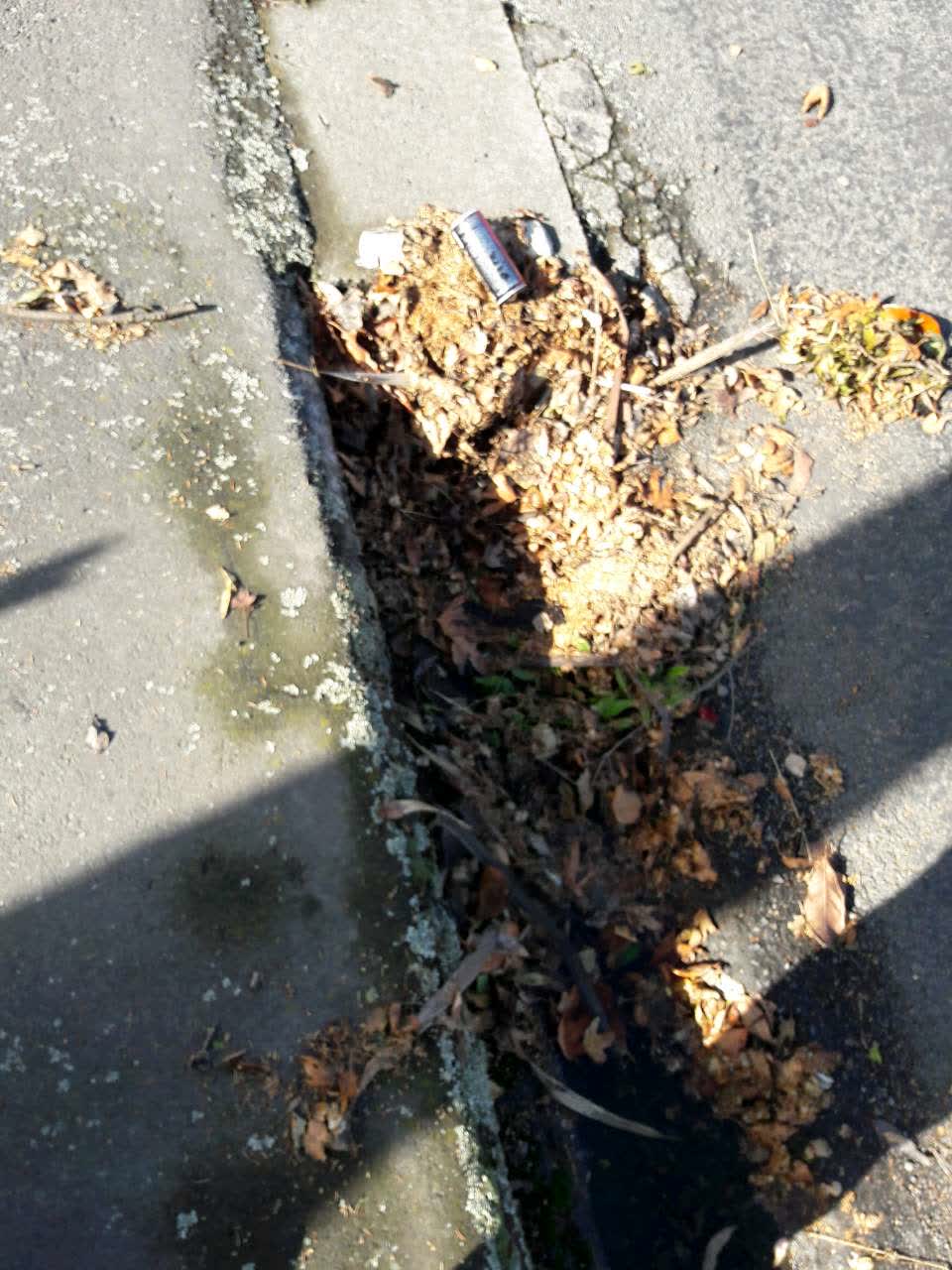 The photograph attached to this wastewater/stormwater report