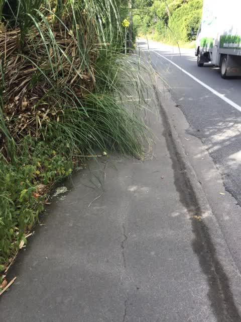Roading/Streets, a report photo