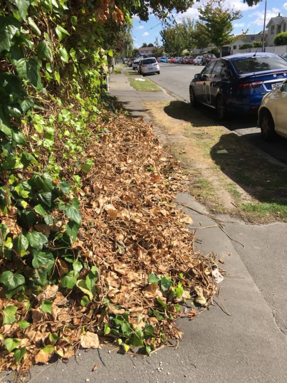 The photograph attached to this roading/streets report