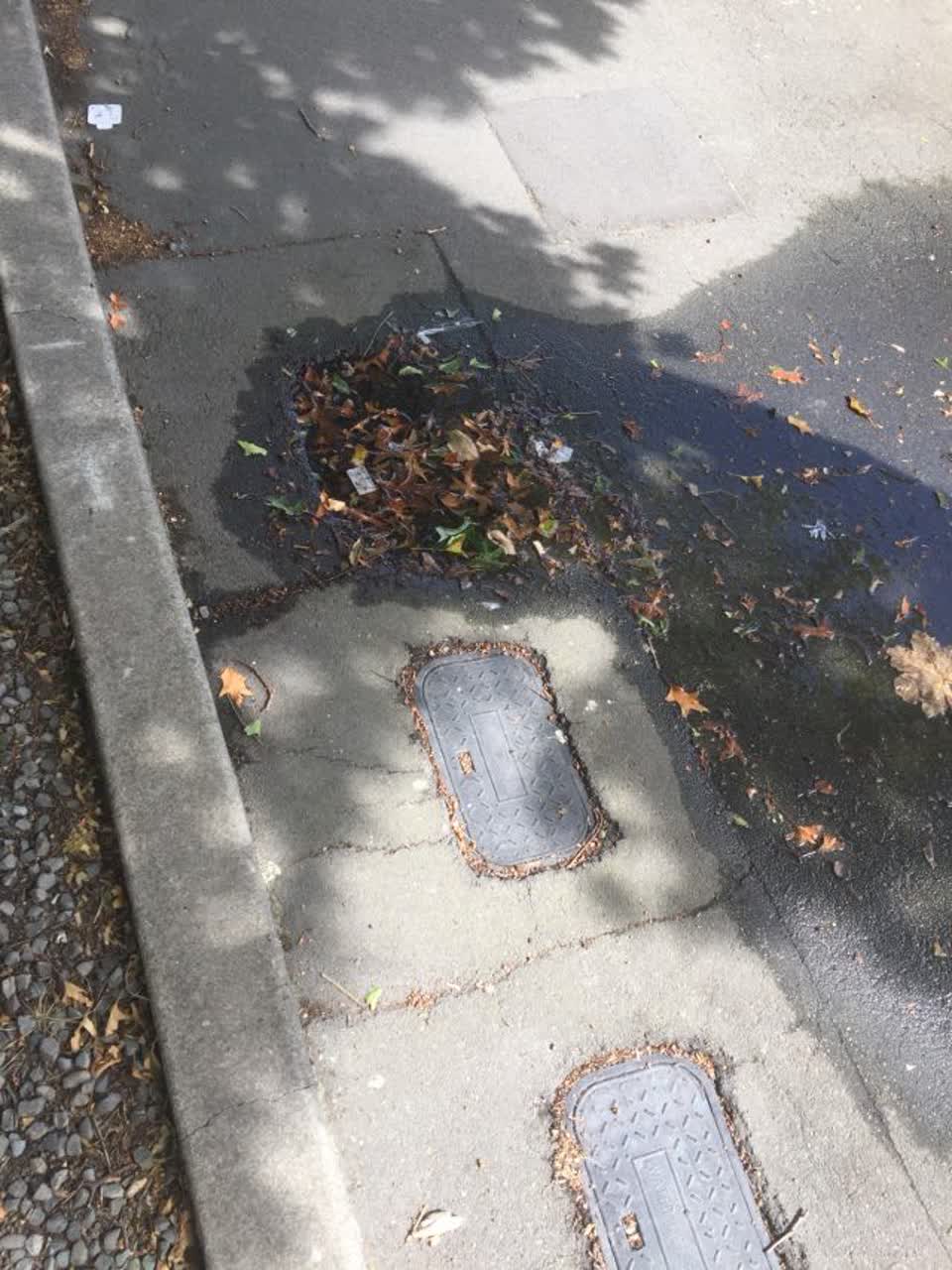 The photograph attached to this water supply report