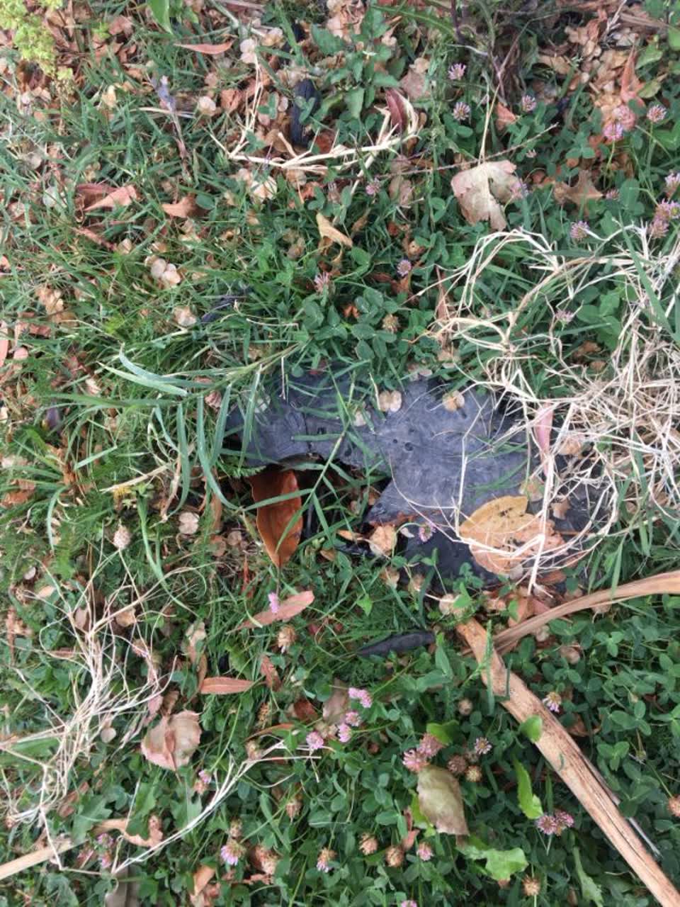 The photograph attached to this water supply report