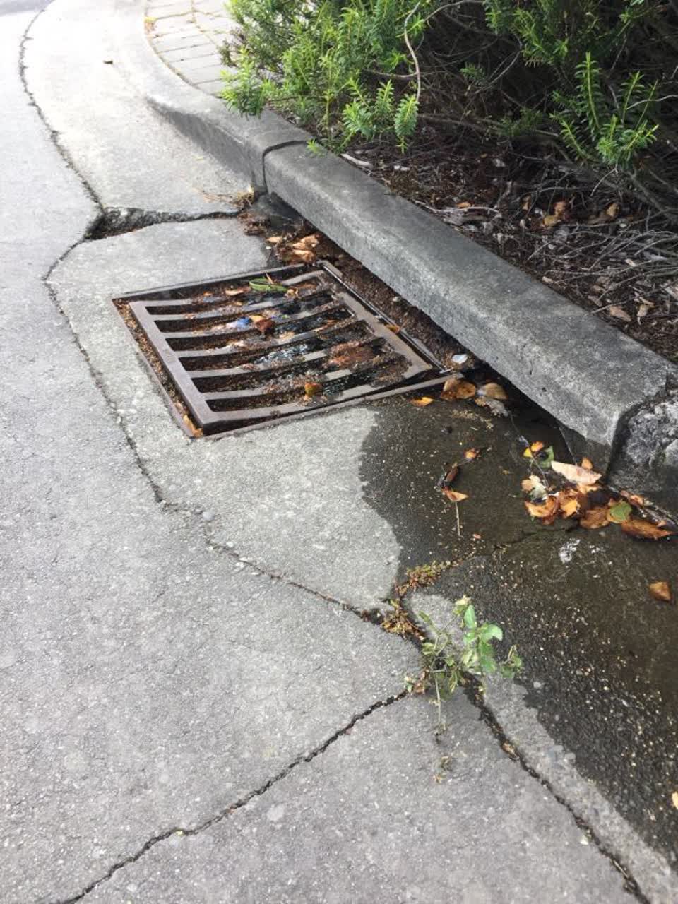 The photograph attached to this flooding report