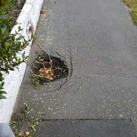 Roading/Streets, a report photo