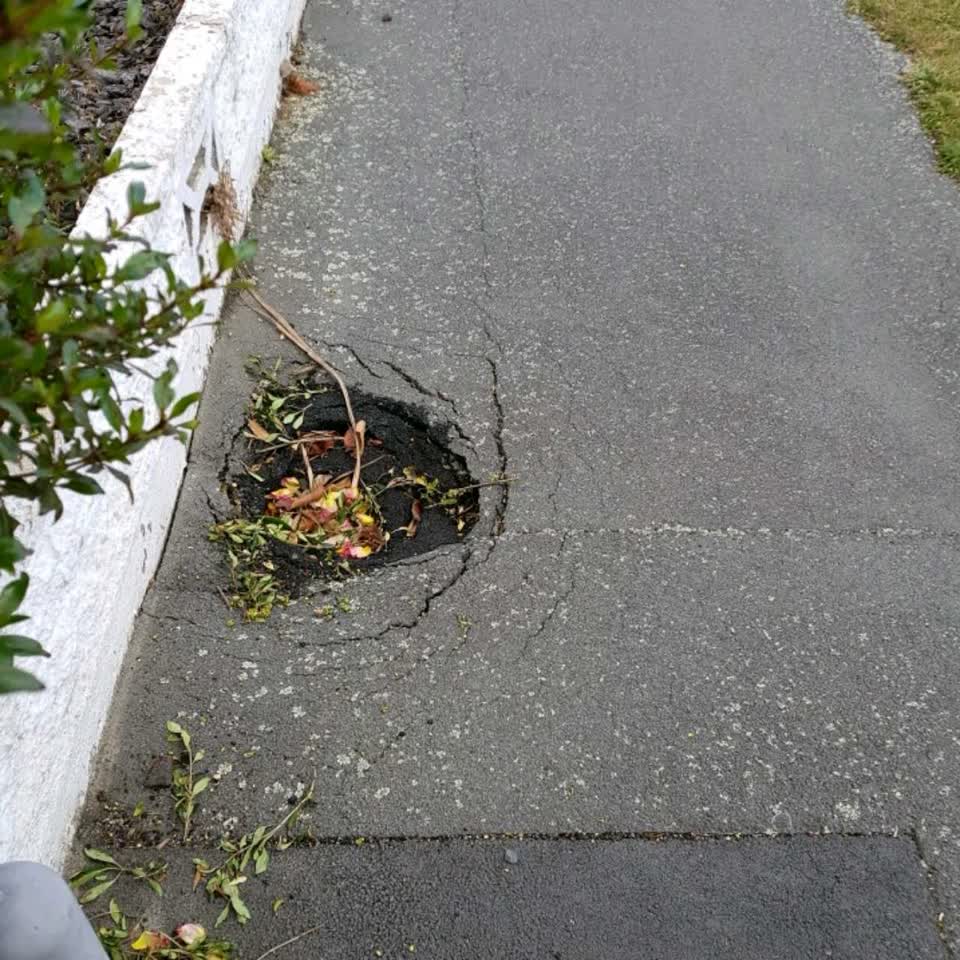 The photograph attached to this roading/streets report