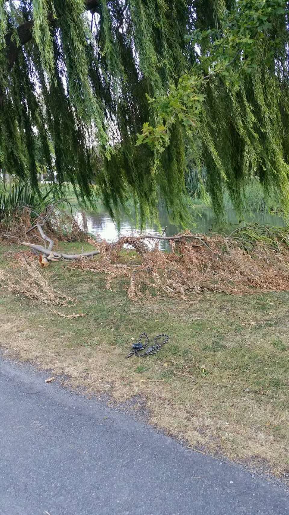 The photograph attached to this rubbish/recycling report
