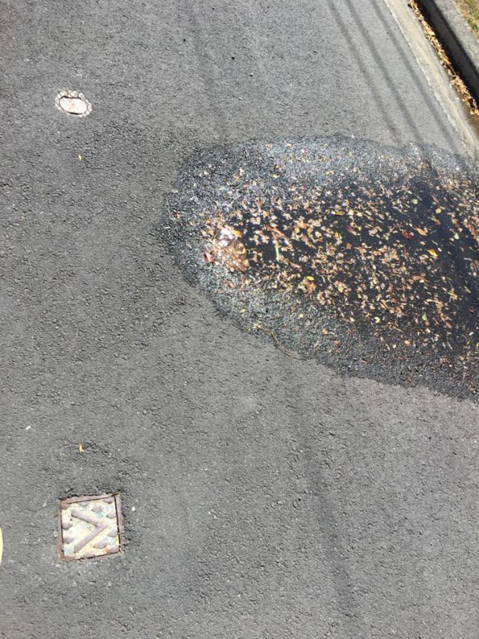 The photograph attached to this roading/streets report