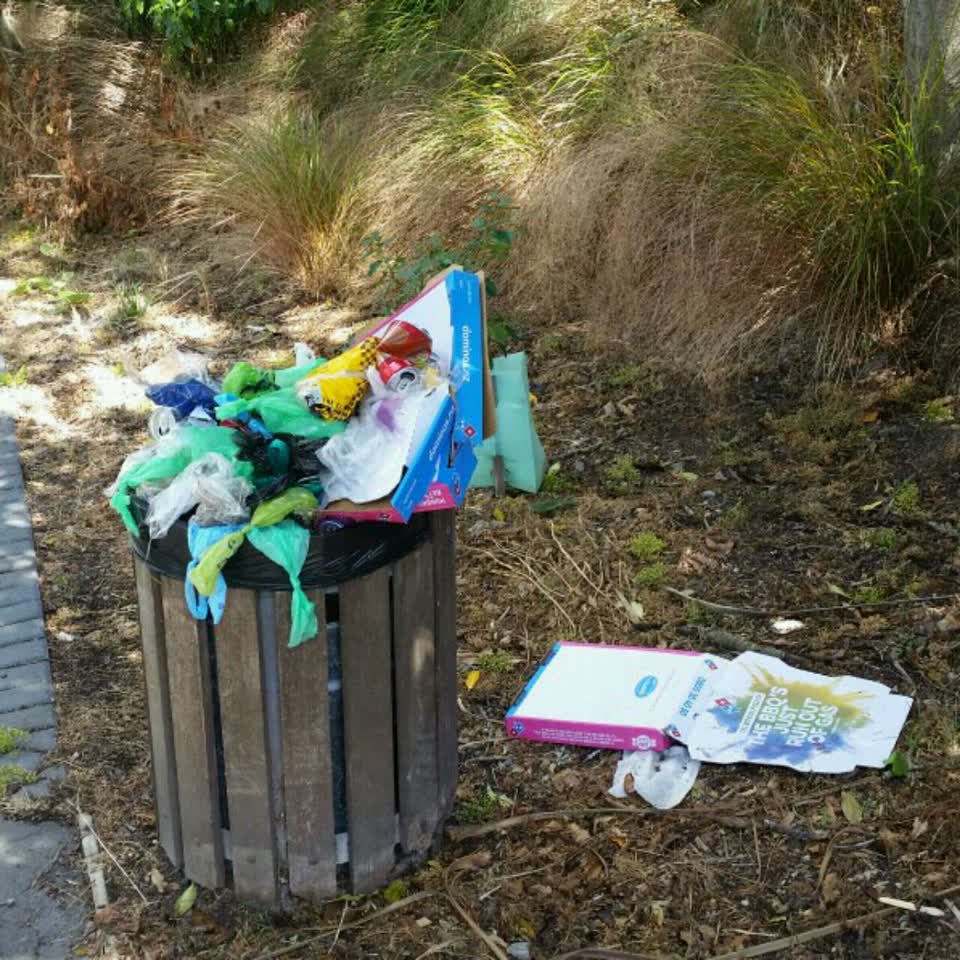 The photograph attached to this rubbish/recycling report